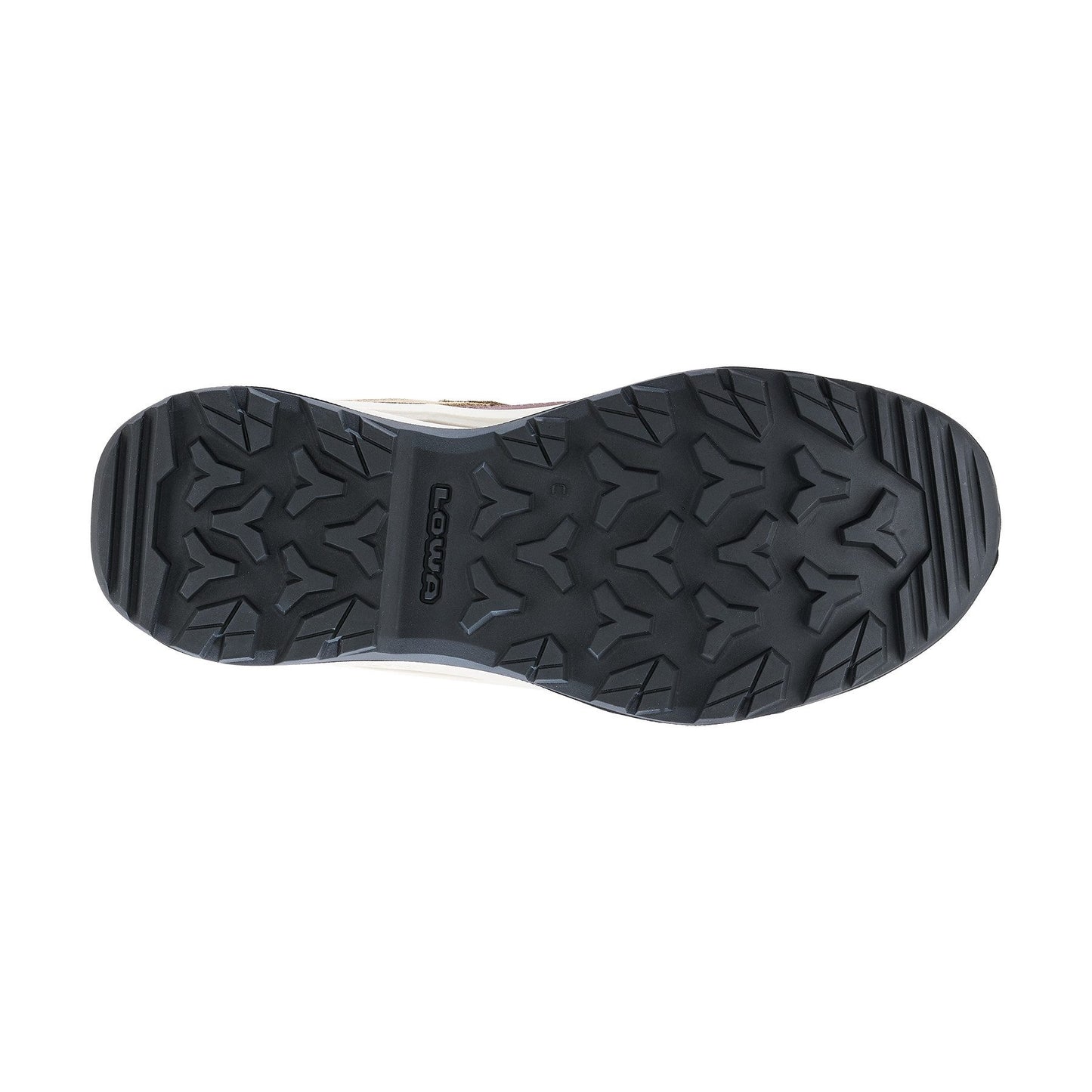 VENTIERRA GTX LO Ws