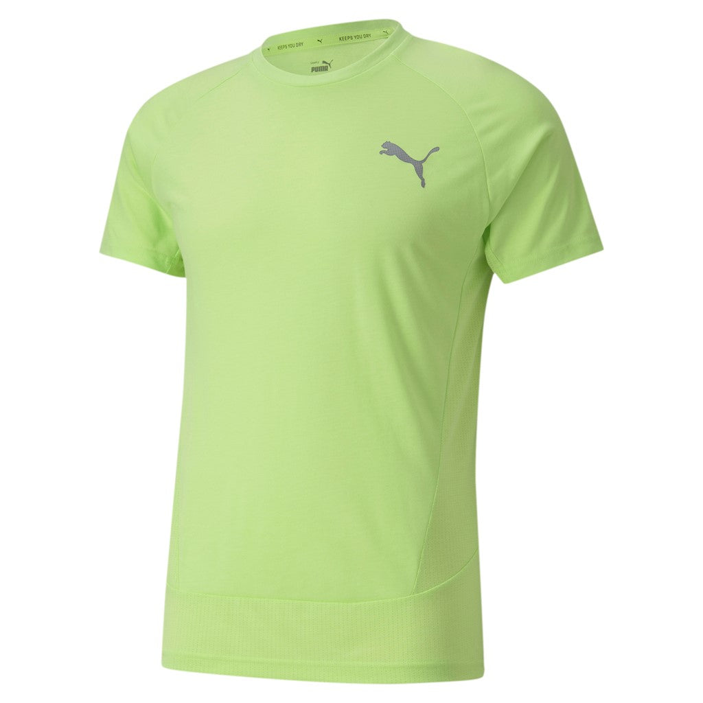 EVOSTRIPE Tee SHARP GREEN