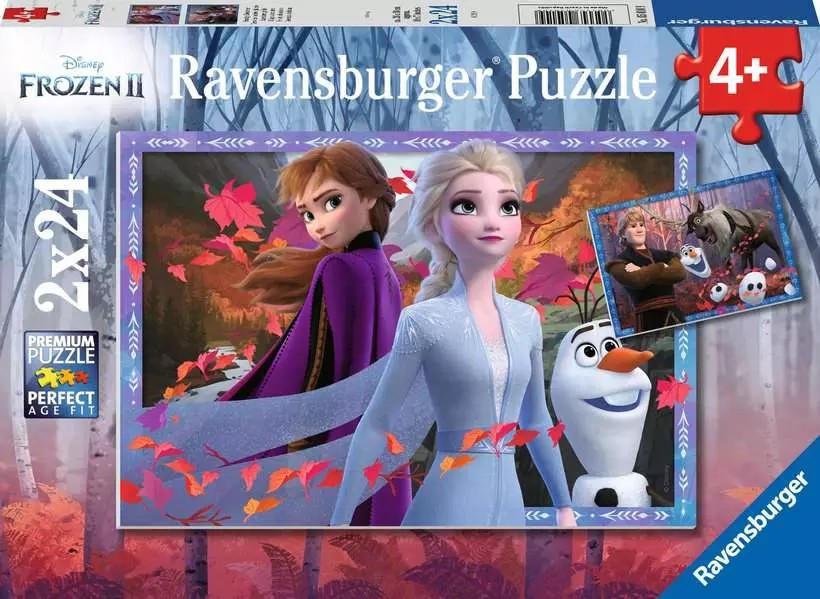 DFZ Frostige Abenteuer