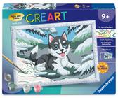 Frecher Husky