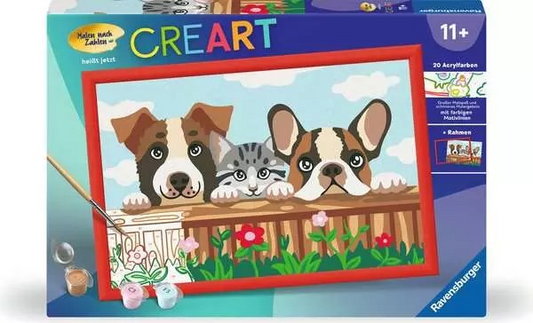Katze und Hunde