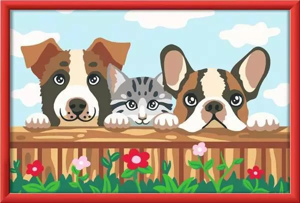 Katze und Hunde