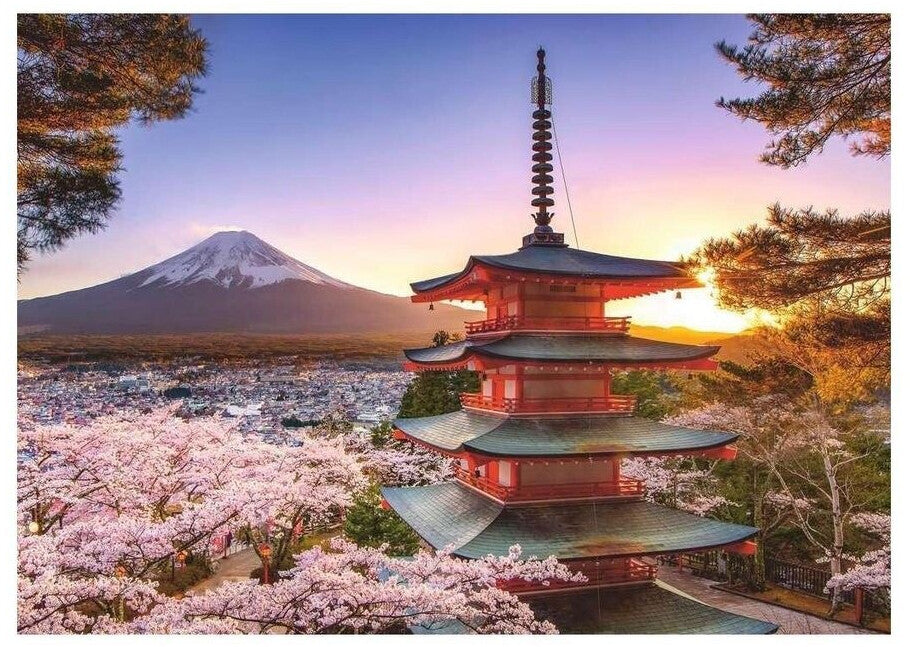 Kirschblüte in Japan