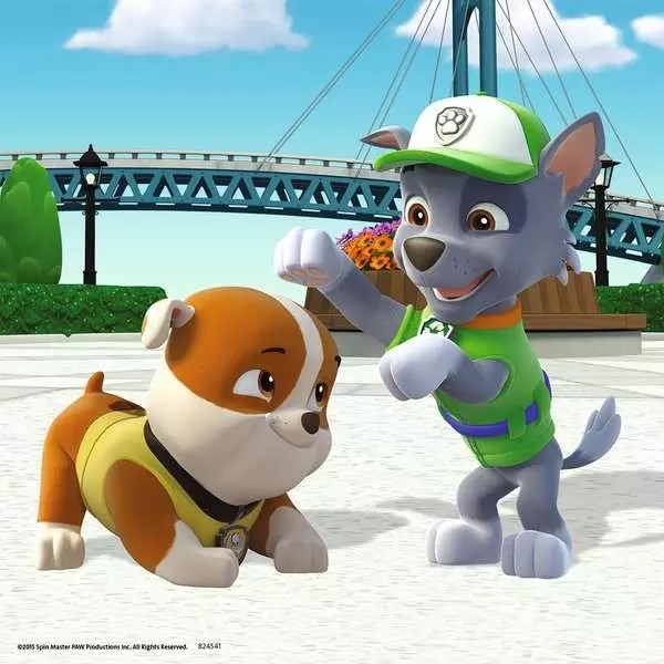 PAW Team auf 4 Pfoten