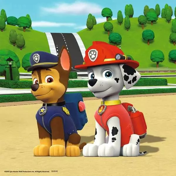 PAW Team auf 4 Pfoten
