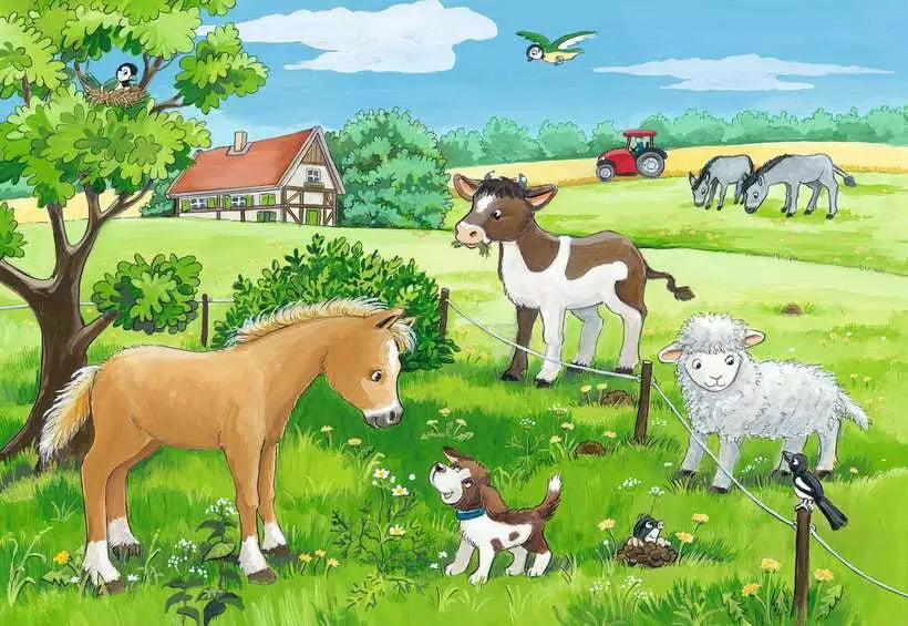 Tierkinder auf dem Land