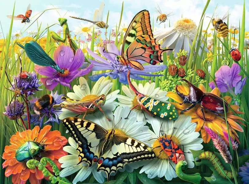 Wunderwelt der Insekten