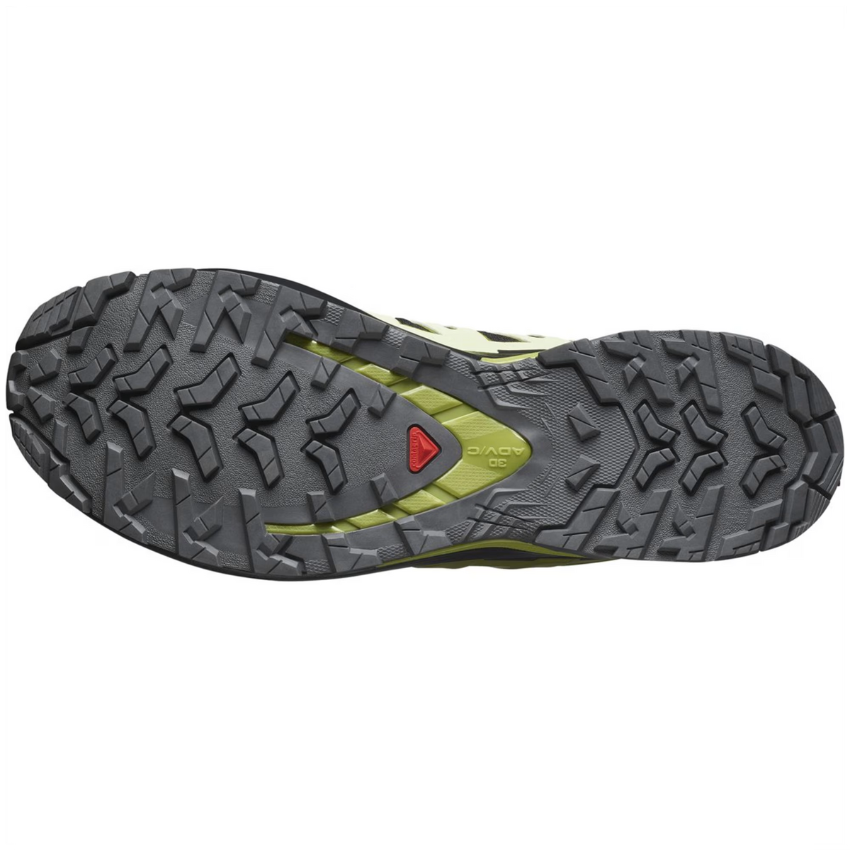 Schuhe XA PRO 3D V9 GTX Black/