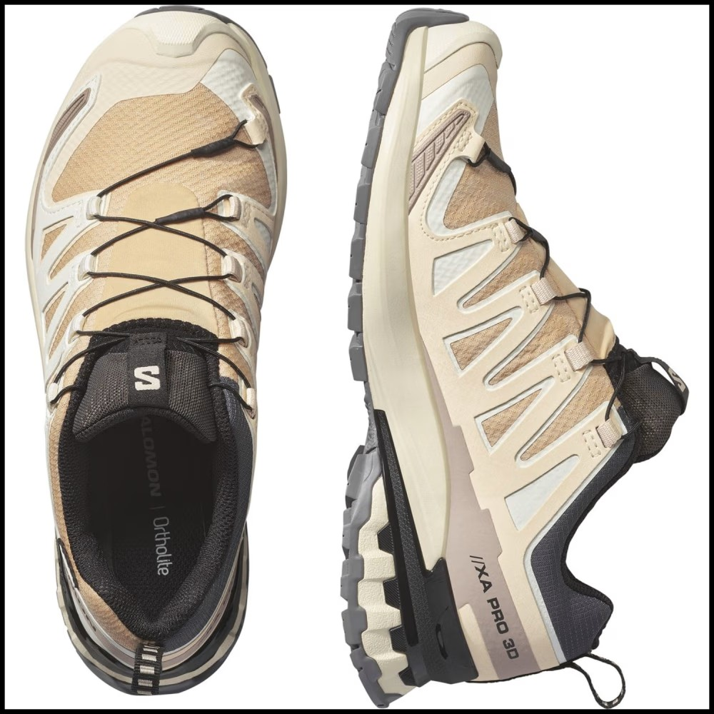 Schuhe XA PRO 3D V9 GTX W Hzln