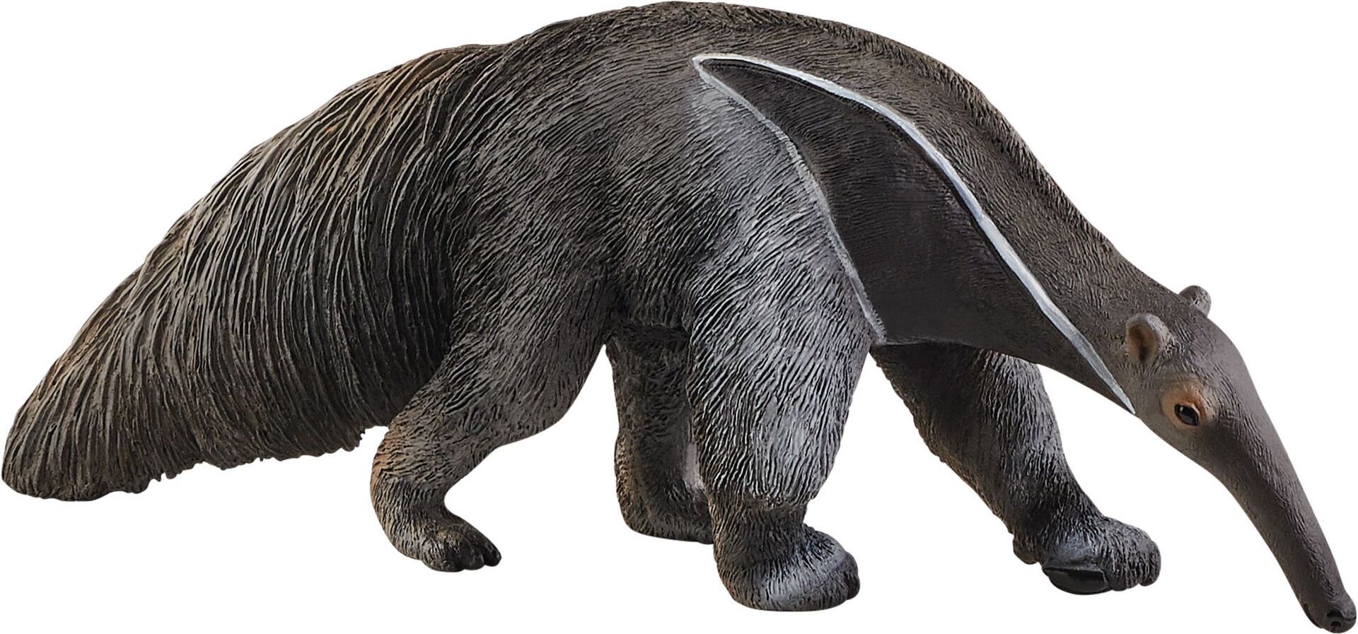 Ameisenbär