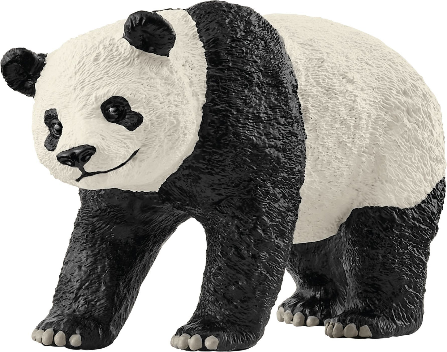 Großer Panda