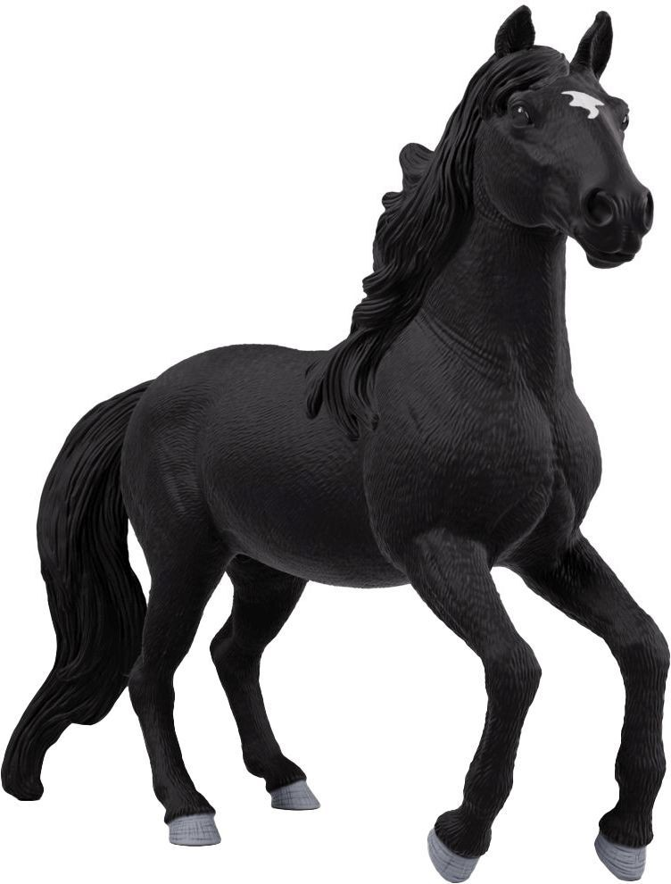 Lusitano Hengst