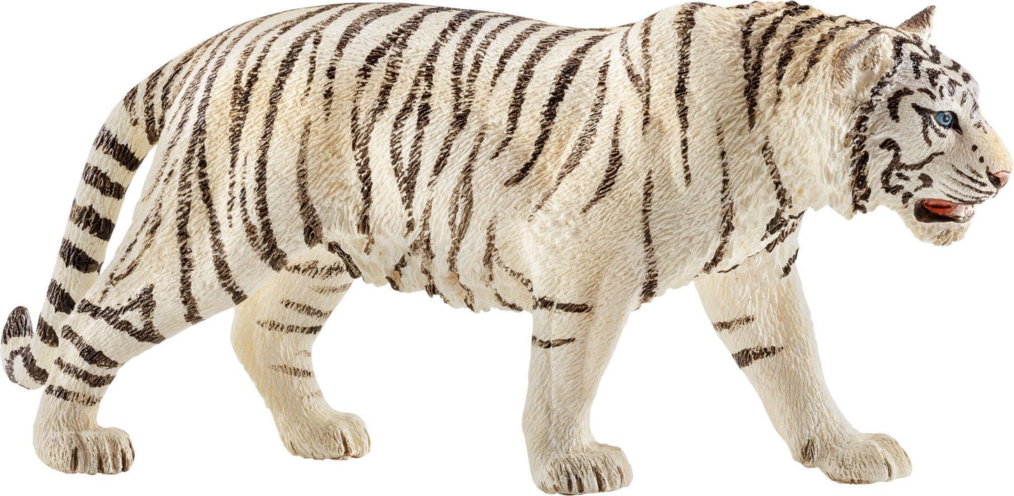 Tiger weiß