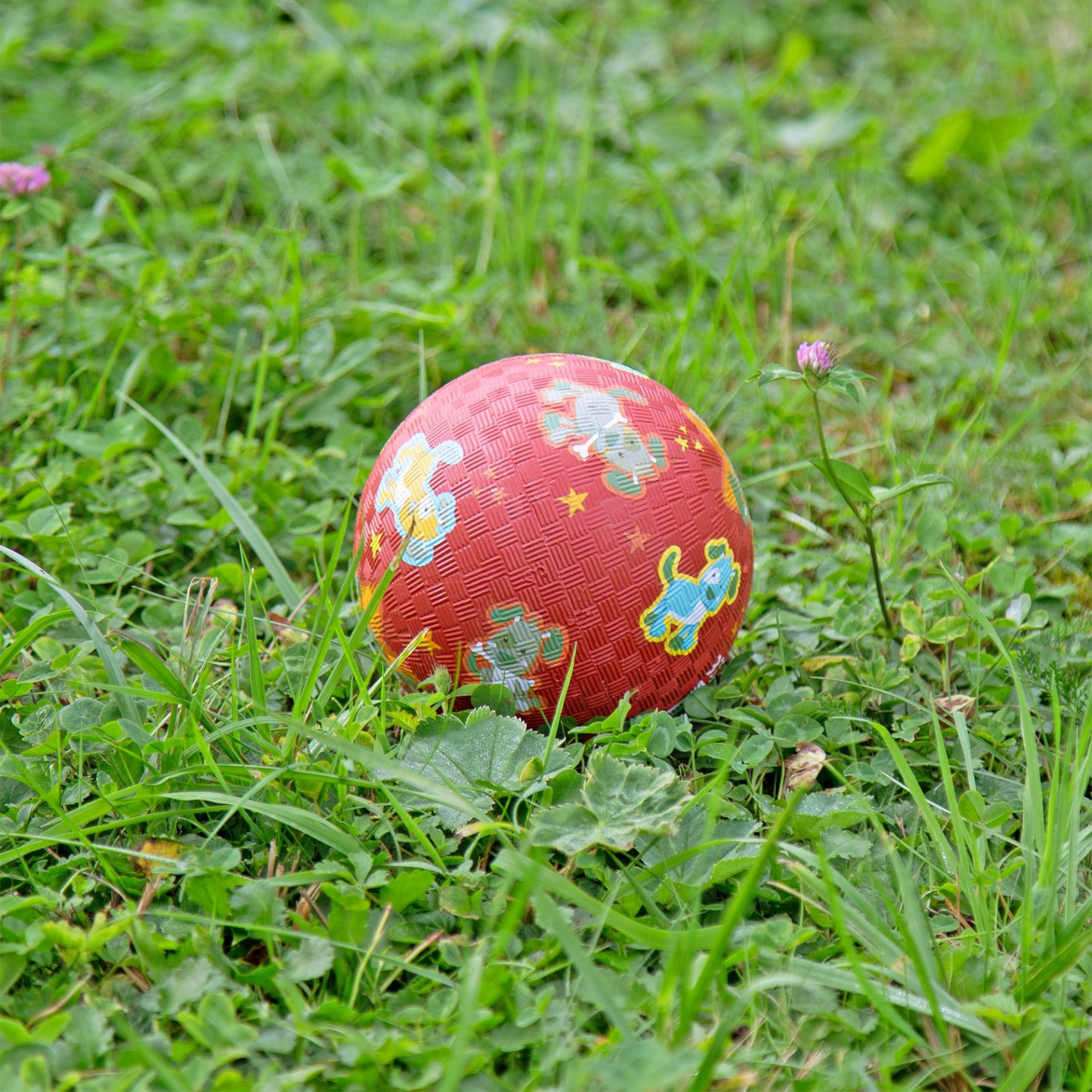 Mini Kautschukball Hund
