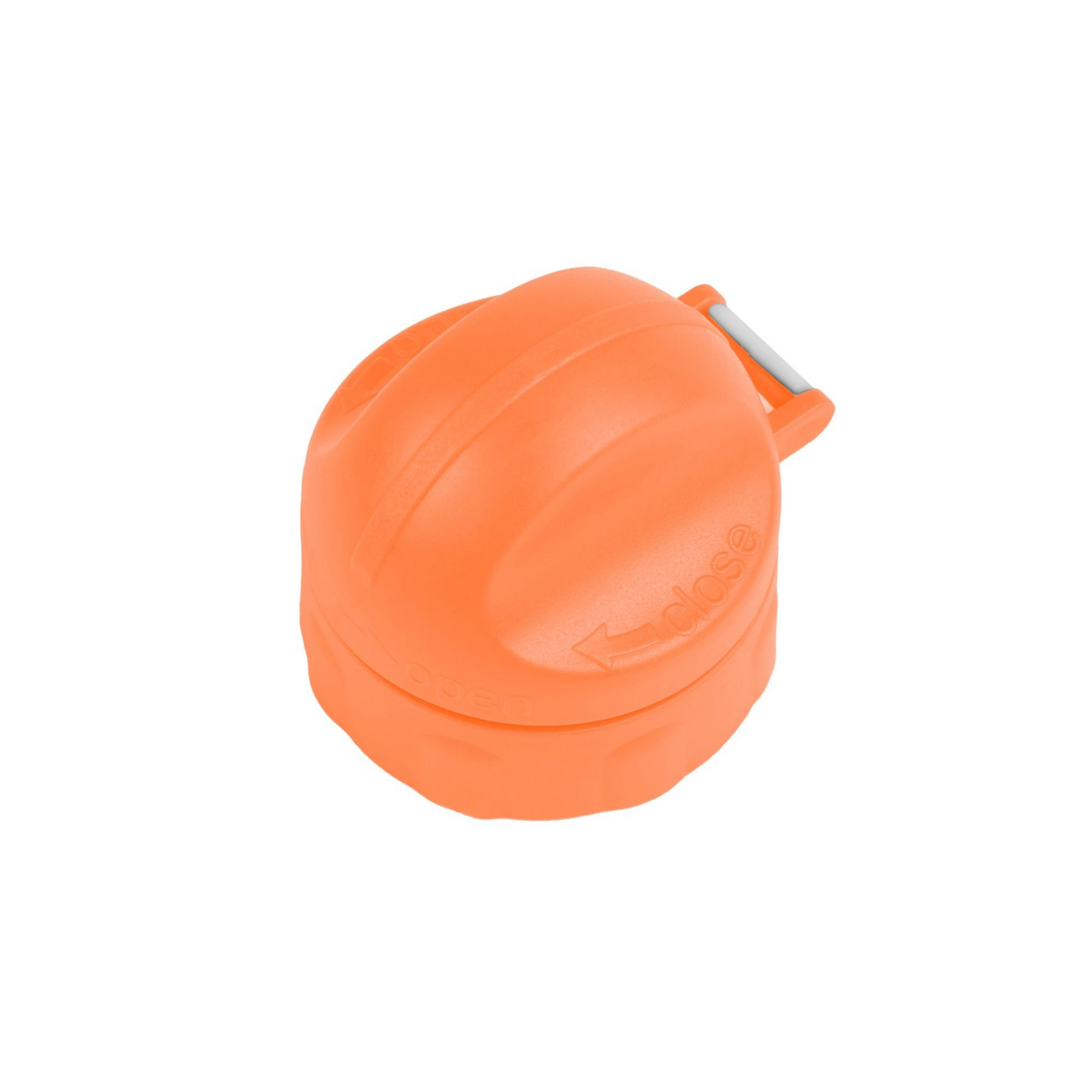 Mini Trinkflasche 250ml Löwe
