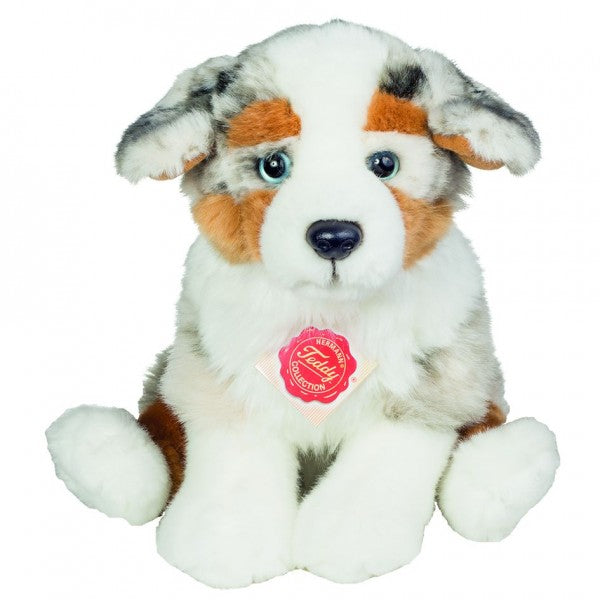 Australian Shepherd Welpe sitzend 22cm