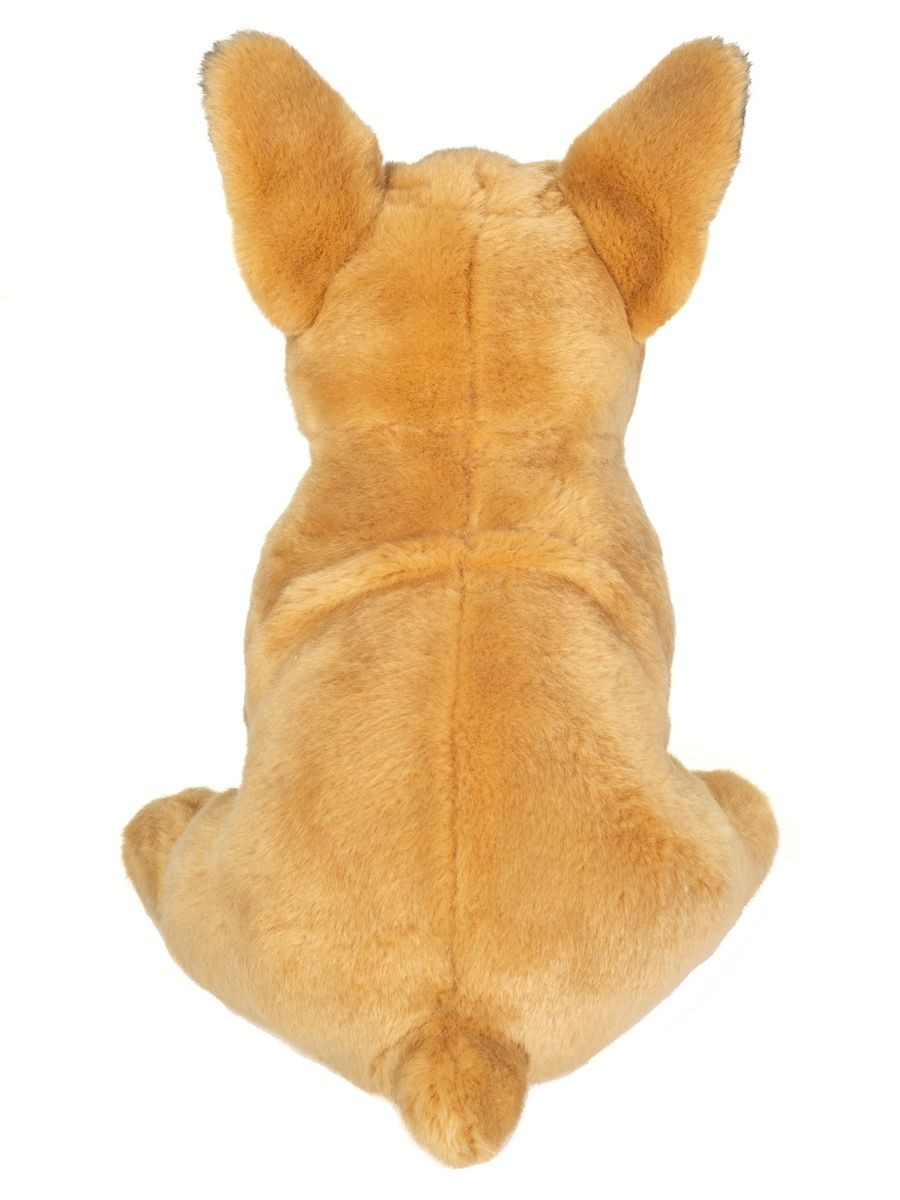 Französische Bulldoge 27cm