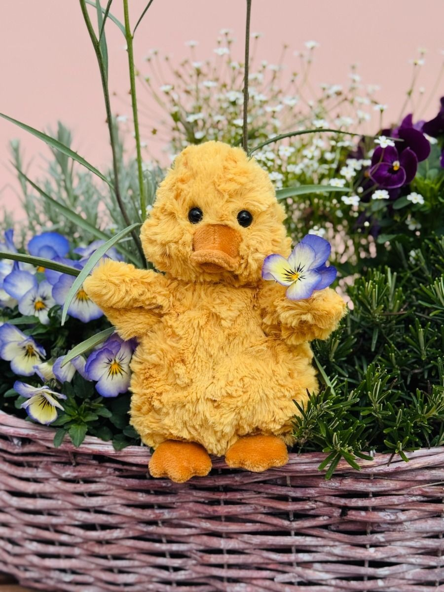 Küken Vivi 17cm