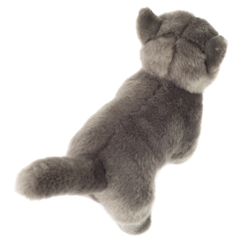 Kartäuserkatze stehend 20cm