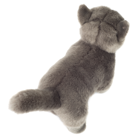 Kartäuserkatze stehend 20cm