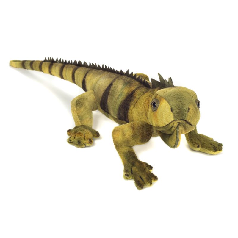 Leguan 49cm