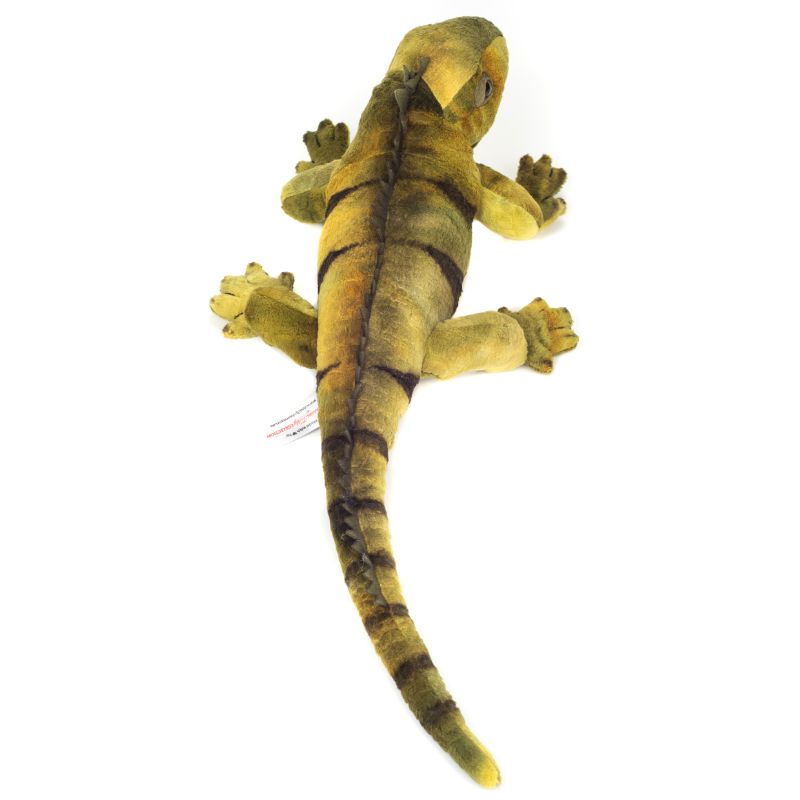 Leguan 49cm