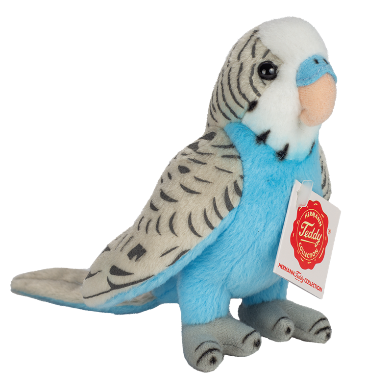 Wellensittich blau 13cm