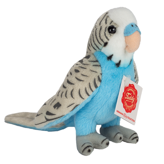 Wellensittich blau 13cm