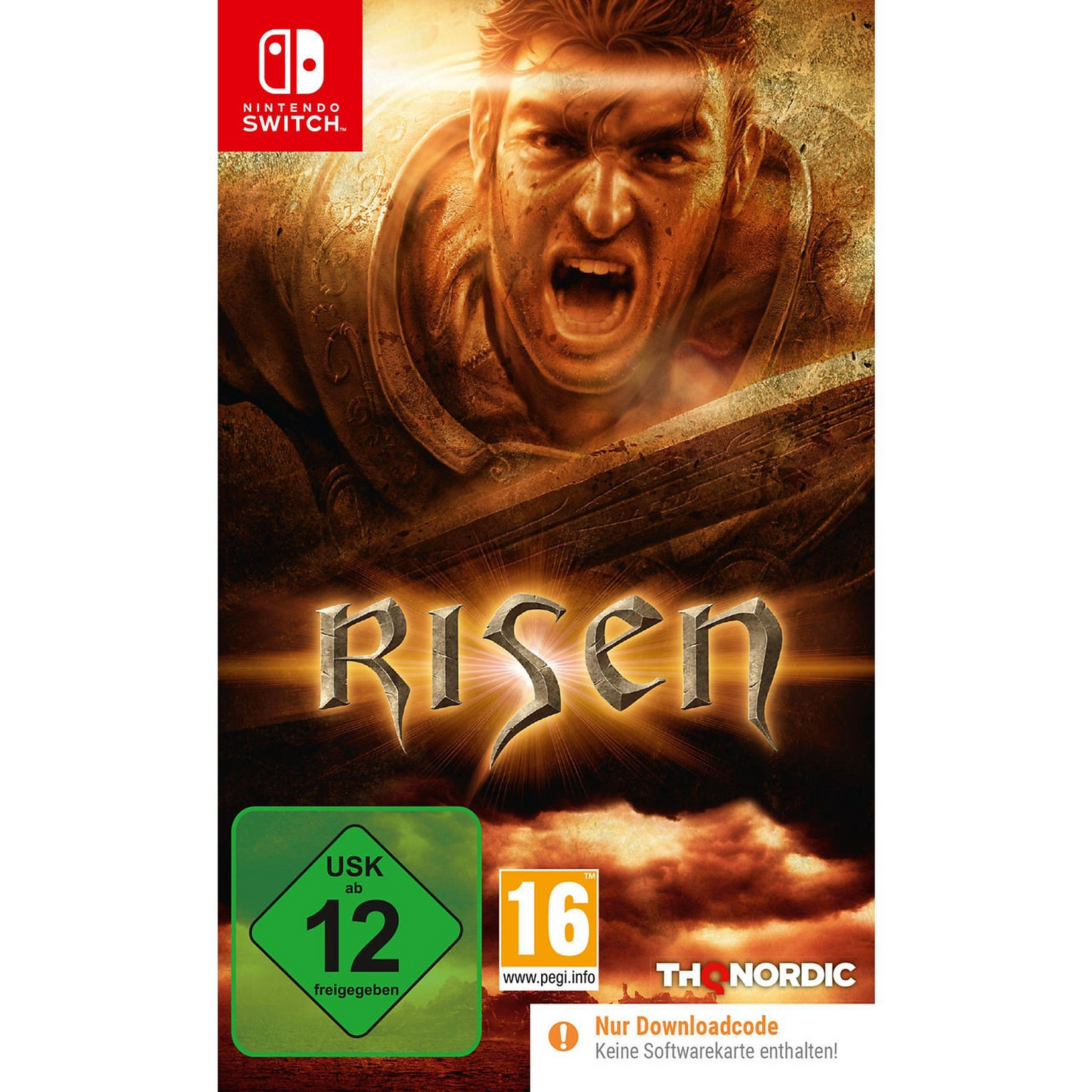 Risen Switch
