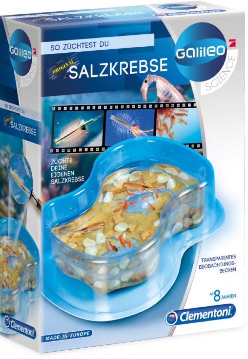 Galileo Original Salzkrebse