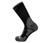Wapiti CS04