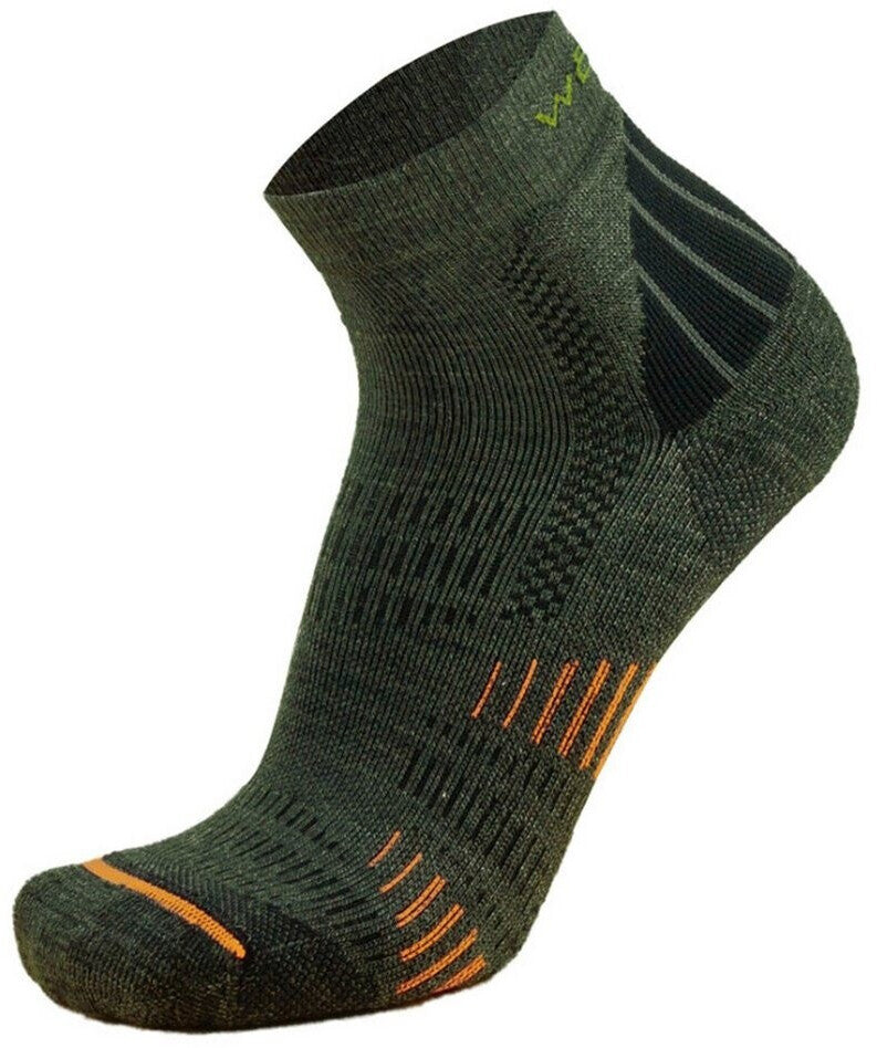 Wapiti S05